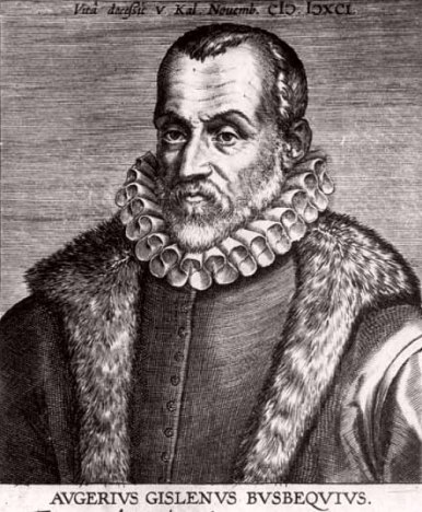ogier-ghislain-busbecq